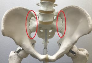 sacroiliac2-300x204